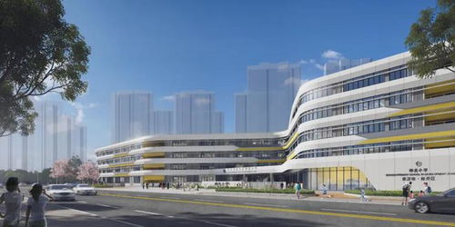 神龙一厂附近小学总平面设计方案公示 教育蓝图绘就，软件赋能未来